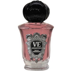 Rose Scandal von Villa Erbatium