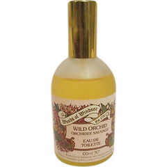 Wild Orchid / Orchidée Sauvage by Woods of Windsor
