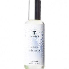 White Wisteria von Thymes