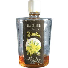 Mimosa von Funel