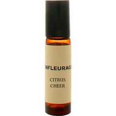 Citrus Cheer von Enfleurage