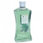 English Fern Cologne von Bronnley