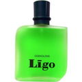 Ligo by Dzintars