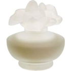 Violet Glycine by Pupa