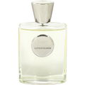 Cotton Flower by Giardino Benessere