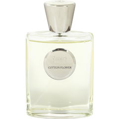 Cotton Flower von Giardino Benessere