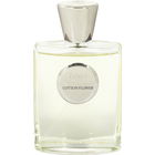 Cotton Flower von Giardino Benessere