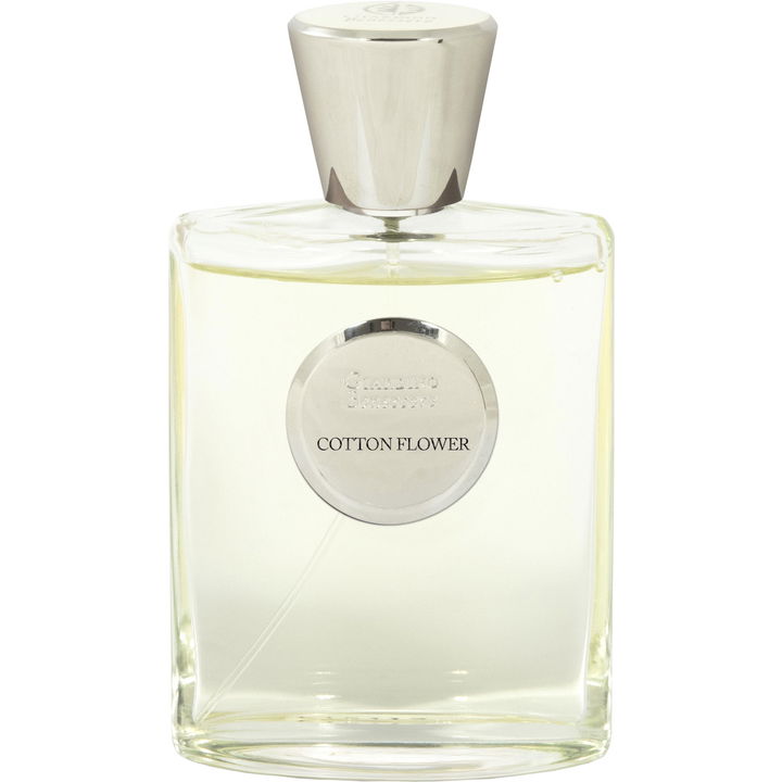 Cotton Flower by Giardino Benessere Cotton Flower by Giardino Benessere