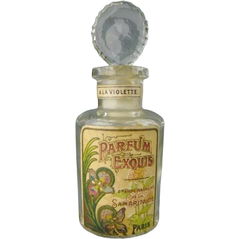 Parfum Exquis a la Violette by Samaritaine
