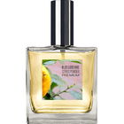 Citrus Powder von The Blossomcare Company