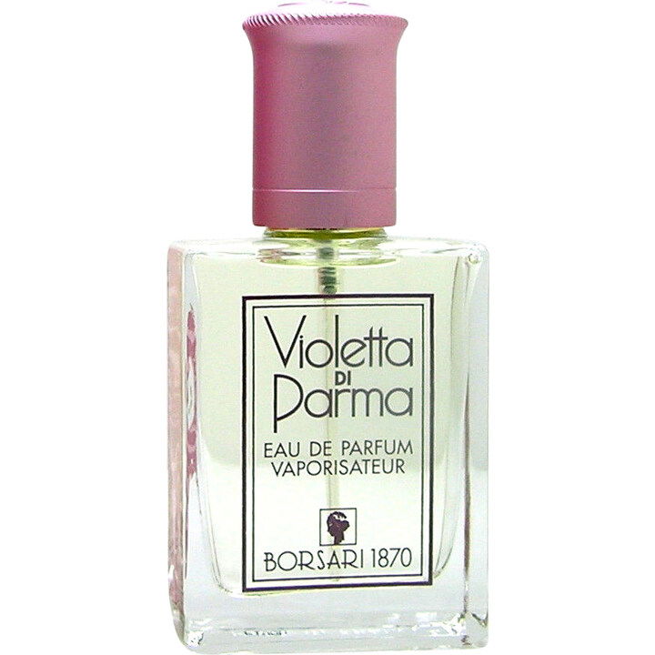 Violetta di Parma by Borsari 1870