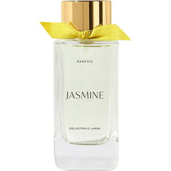 Jasmine by Parfois