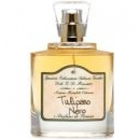 Tulipano Nero (Eau de Parfum) von Spezierie Palazzo Vecchio