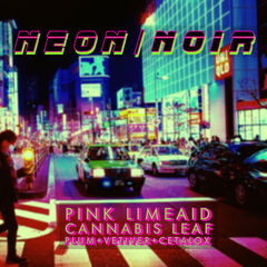 Neon Noir by Stone & Wit