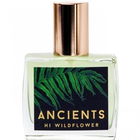 Ancients von Tanaïs