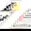 L'Histoire Oubliée de Dunhuang by Auphorie