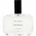 Juniperus / ユニペルス by Plage