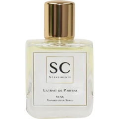 Shiny Oud von Scentiments
