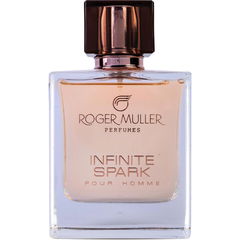 Infinite Spark by Roger Muller