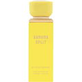 Banana Split by Gulf Orchid