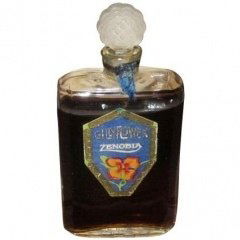 Gillyflower von Zenobia