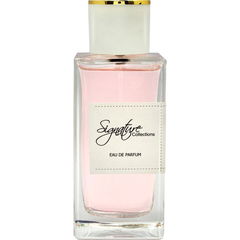 Señorita von Signature Collections