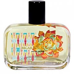 Bigarade Jasmin von Fragonard