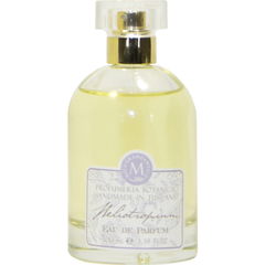 Heliotropium (Eau de Parfum) von Melogranoantico