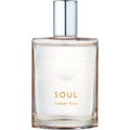 Soul - Sweet Kiss von The Face Shop