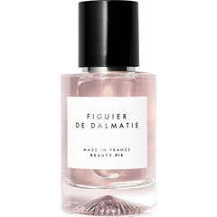 Figuier de Dalmatie by Beauty Pie