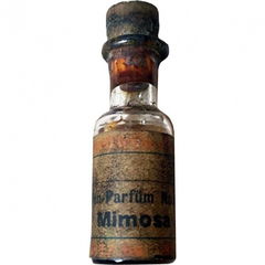 Mimosa von Schimmel & Co.