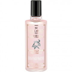 Eau de l'Angelus
