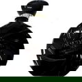 Audace Noire von Fabergé