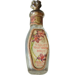 Violet Toilet Water Brut von Hanson-Jenks