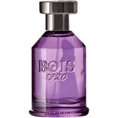 Spigo 1920 by Bois 1920