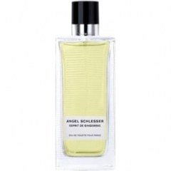 Esprit de Gingembre pour Femme by Angel Schlesser