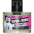 Tulipano & Papavero by Apiarium