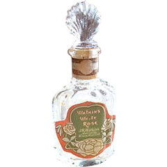 Watkins White Rose by J. R. Watkins Watkins White Rose by J. R. Watkins
