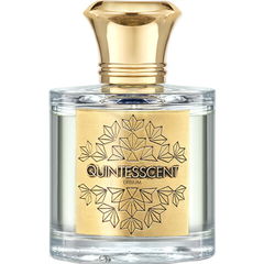 Erbium by Quintesscent