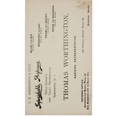 Rose of Sharon by C. B. Woodworth & Sons Co.