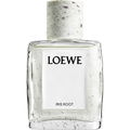 Iris Root by Loewe
