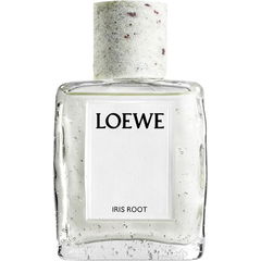 Iris Root by Loewe