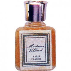 Madame Villard by Pierre Sterlé