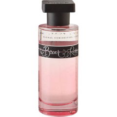 Floral Curiosities - Briar Rose von Ineke