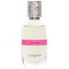 Lavande by Candora