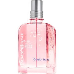 Cerisier Étoilé von L'Occitane en Provence