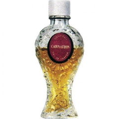 Carnation von Gourielli
