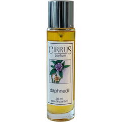 Daphnedil by Cirrus Parfum