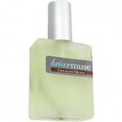 Chocolate Orchid von Briar Muse