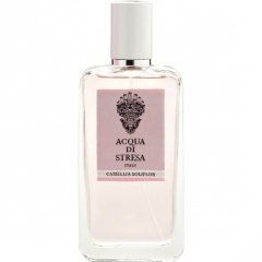 Camellia Soliflor by Acqua di Stresa
